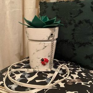 Betsey Johnson succulent